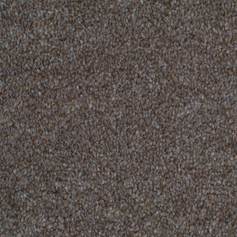 Tender Embrace Mocha 4014 Carpet