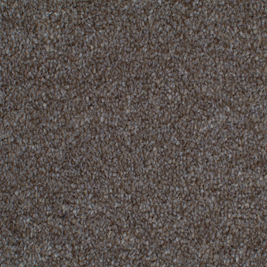 Tender Embrace Mocha 4014 Carpet