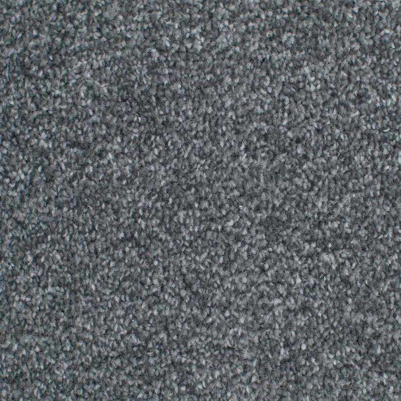 Tender Embrace Platinum 4016 Carpet