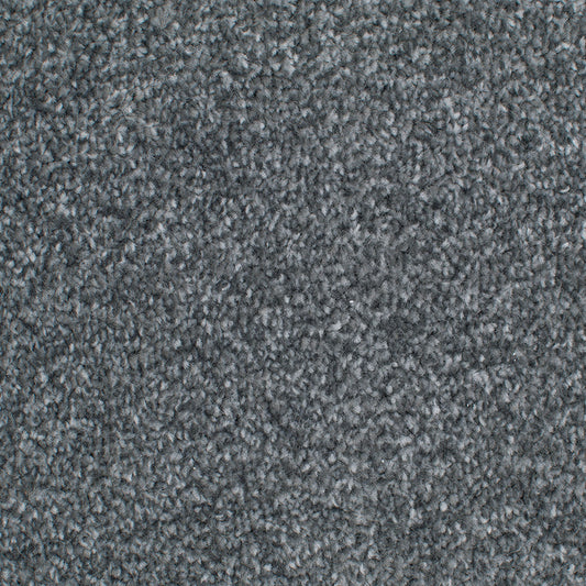 Tender Embrace Platinum 4016 Carpet