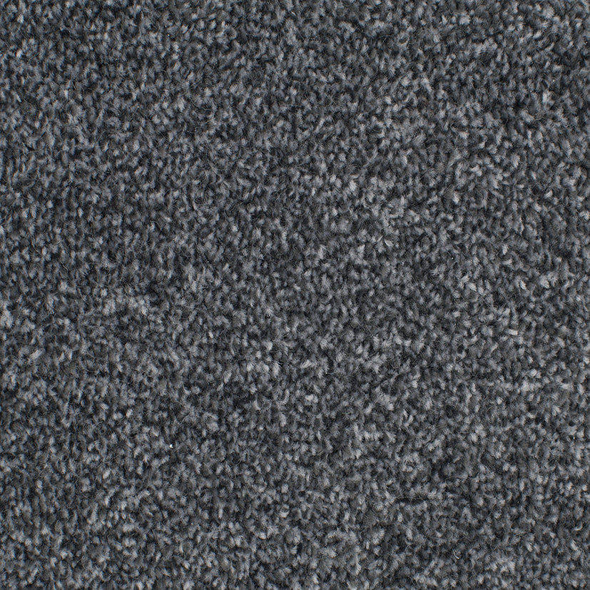 Tender Embrace Nickle 4017 Carpet
