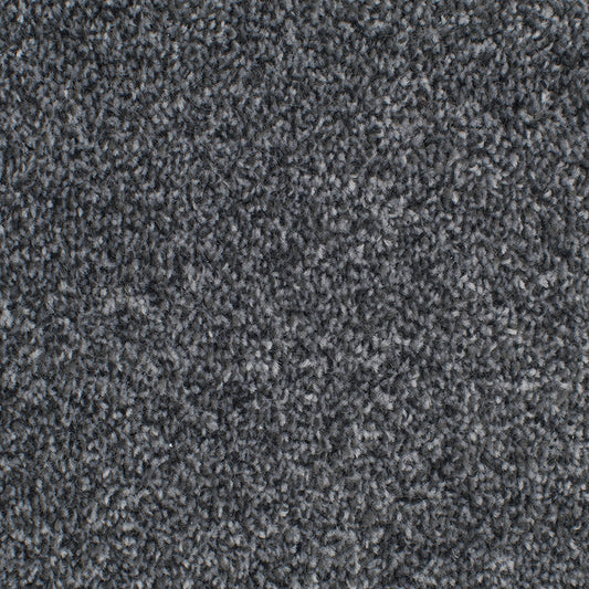 Tender Embrace Nickle 4017 Carpet