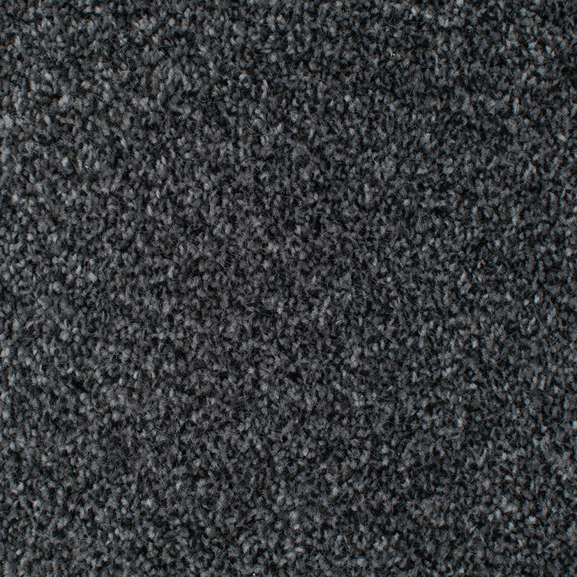 Tender Embrace Carbon 4008 Carpet