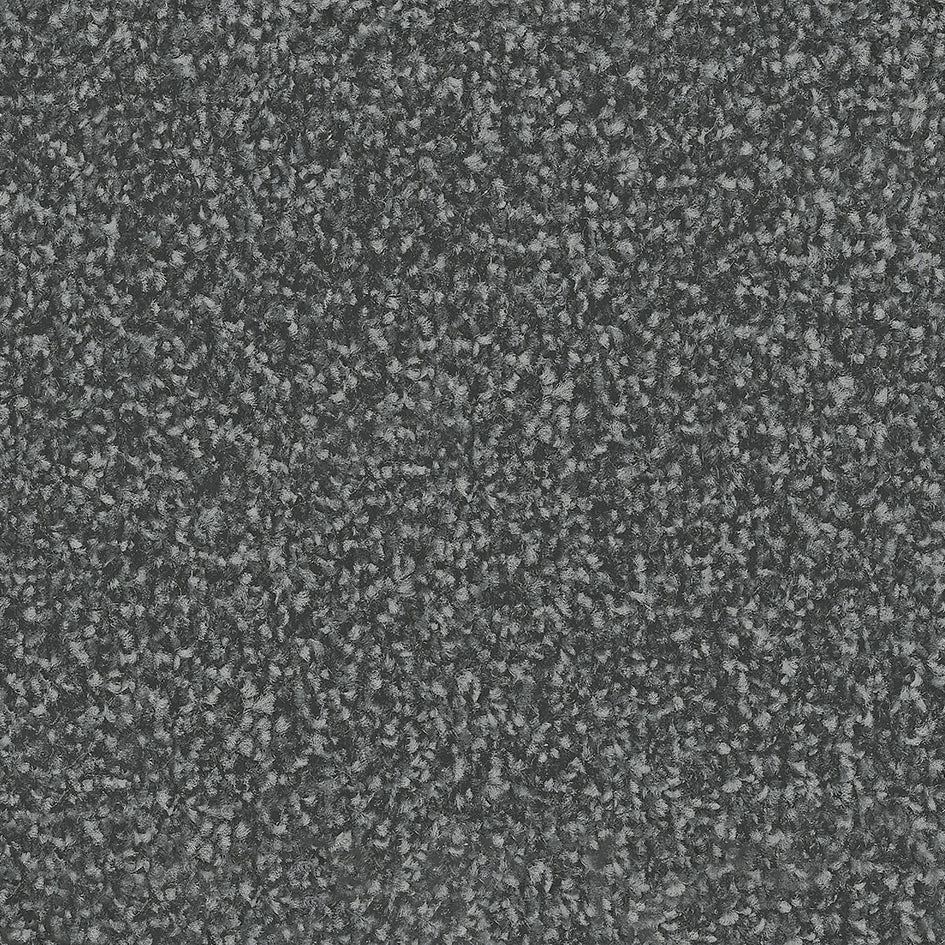 Almere Felt Carbon 1352 Carpet