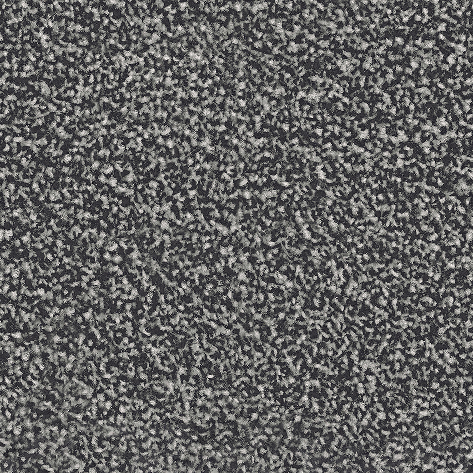 Ashtown Felt Gunmetal 1351 Carpet