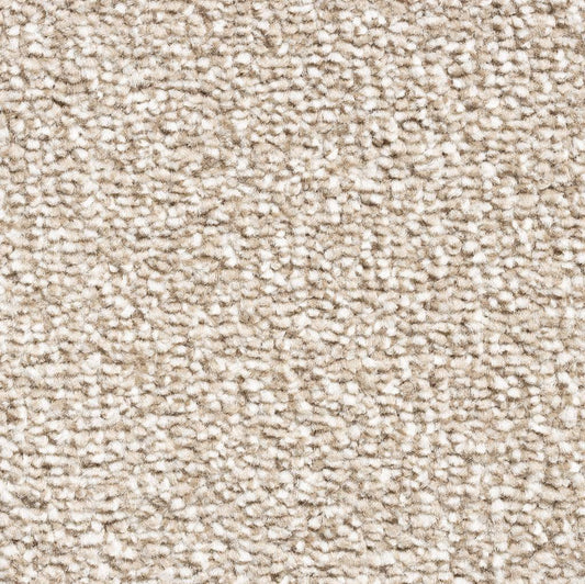 Singapore AB Latte 72 Carpet
