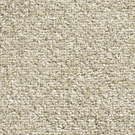Ultra Living Felt Willow 240 Carpet