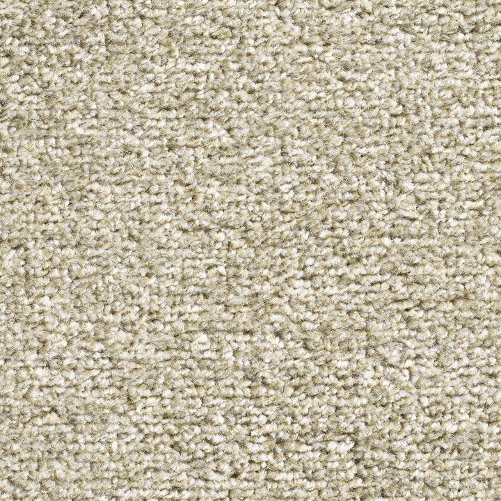 Ultra Living Felt Willow 240 Carpet