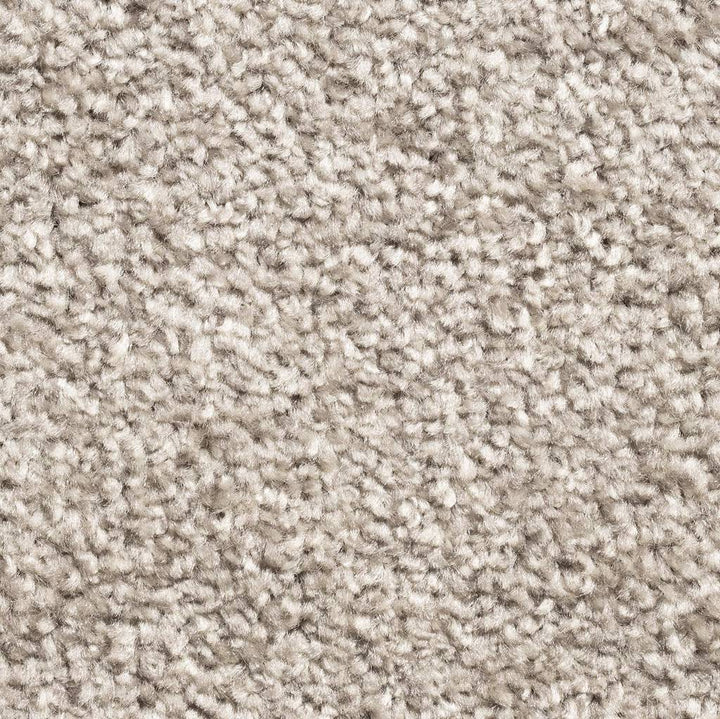 Alicante Saxony Felt 72 Carpet