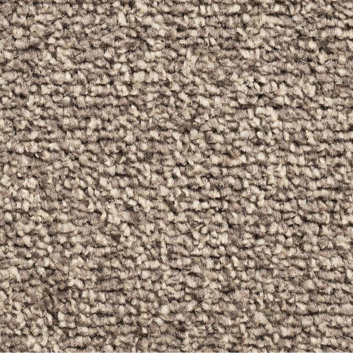 Alicante Saxony Felt 91 Carpet