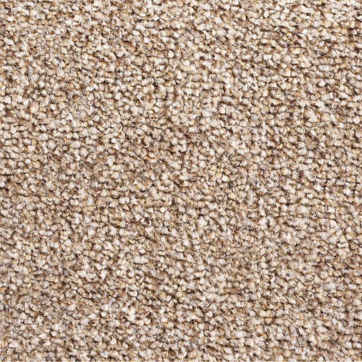 Super Twist SB Saddle 491 Carpet
