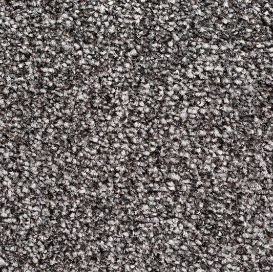 Super Twist SB Charcoal 493 Carpet