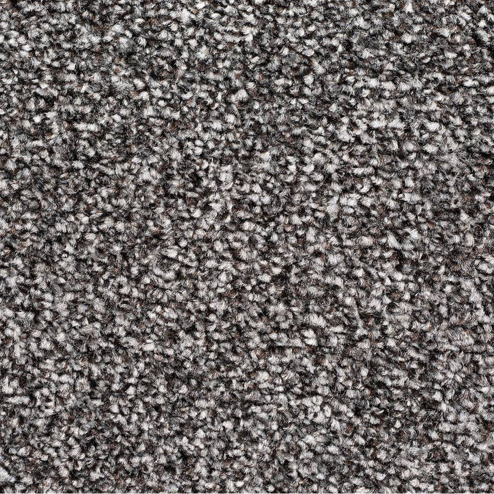 Super Twist SB Charcoal 493 Carpet