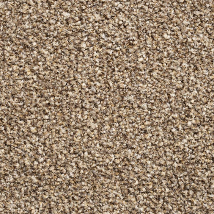 Brooklyn Elite Saddle 91 Carpet