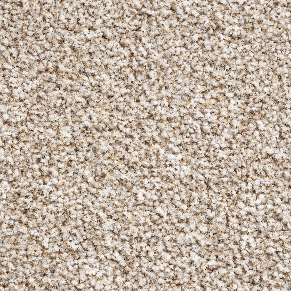 Brooklyn Elite Parchment 69 Carpet