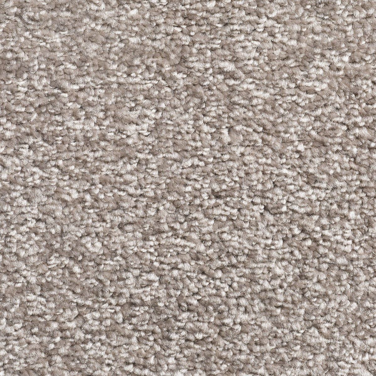 Lazio AB H76 Carpet