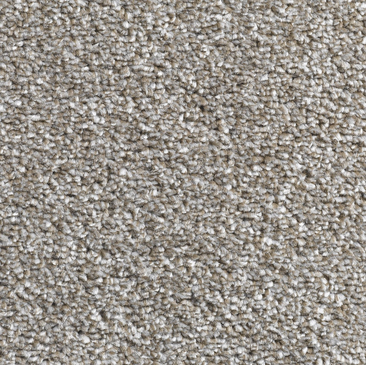 Lazio AB H94 Carpet