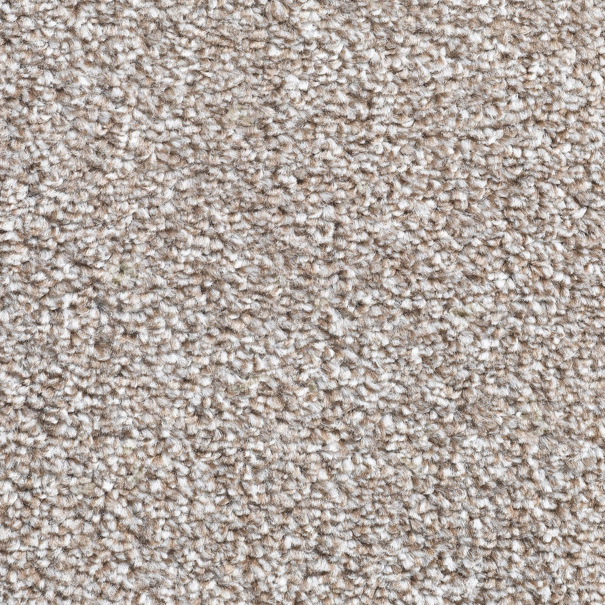 Lazio AB H97 Carpet