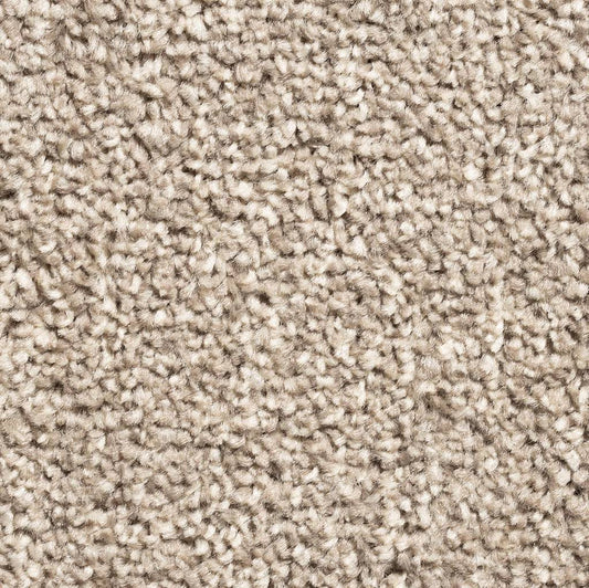 Alicante Saxony AB 90 Carpet