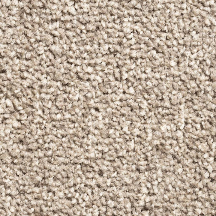 Alicante Saxony AB 90 Carpet