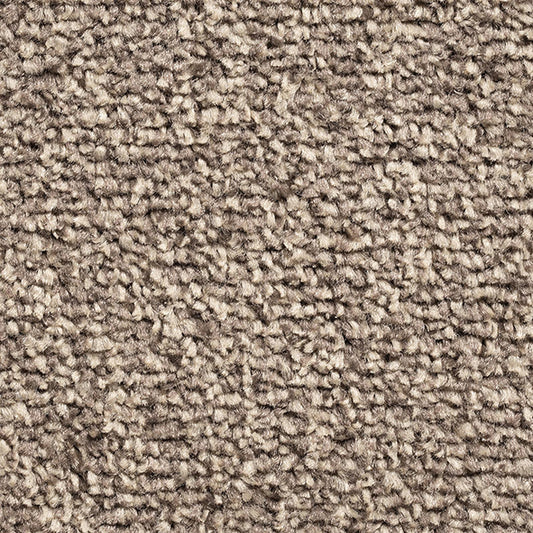 Alicante Saxony AB 91 Carpet