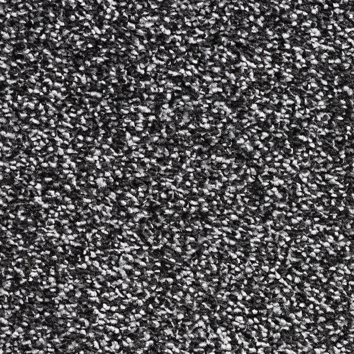 Cornwall SB Carbon 79 Carpet