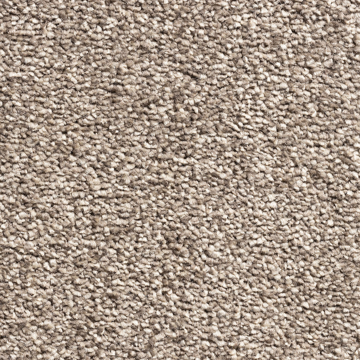 Cornwall SB Latte 92 Carpet