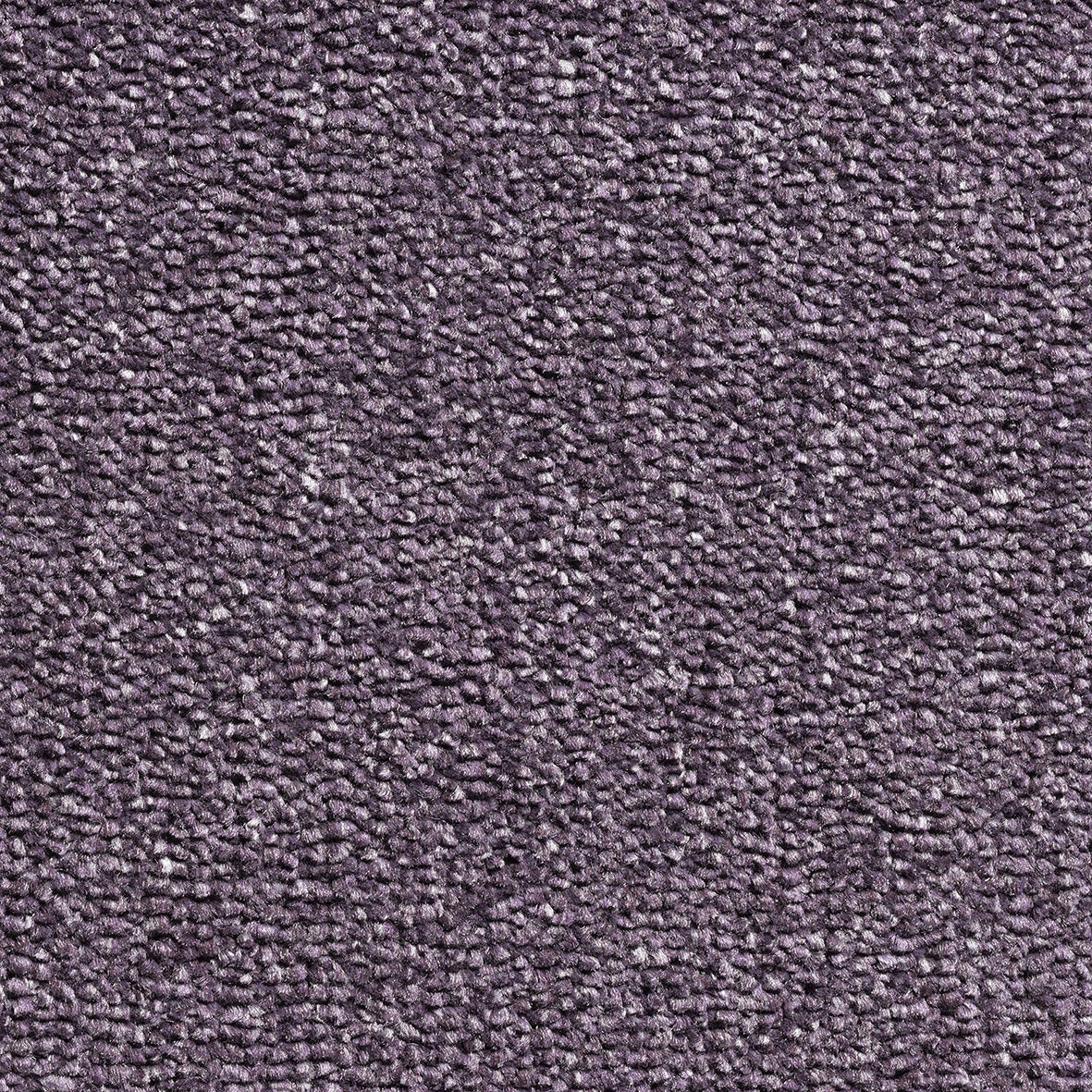 Revolution Supreme SB Damson 15 Carpet