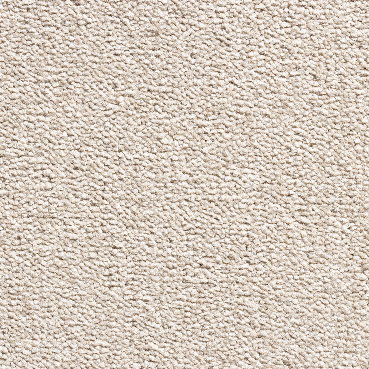 Revolution Supreme SB Biscuit 70 Carpet
