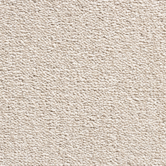 Revolution Supreme SB Biscuit 70 Carpet