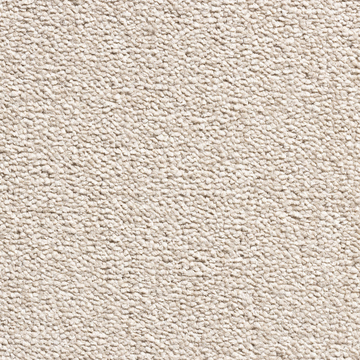 Revolution Supreme SB Biscuit 70 Carpet