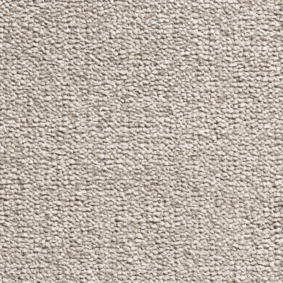 Revolution Supreme SB Pebble 72 Carpet