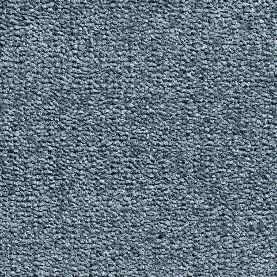 Revolution Supreme SB Aqua 84 Carpet
