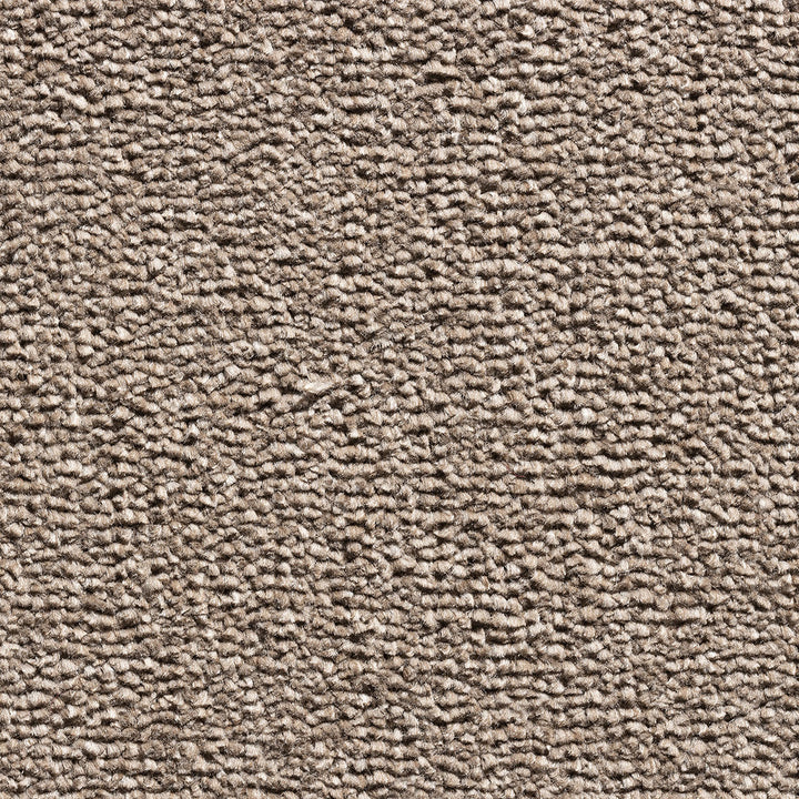 Revolution Supreme SB Chocolate 90 Carpet