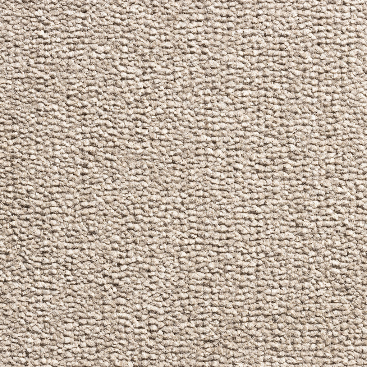 Revolution Supreme SB Sable 91 Carpet