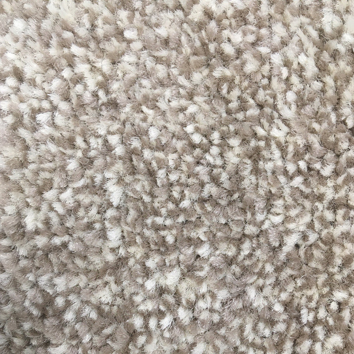 Cathedral Saxony Nutmeg 73 Carpet