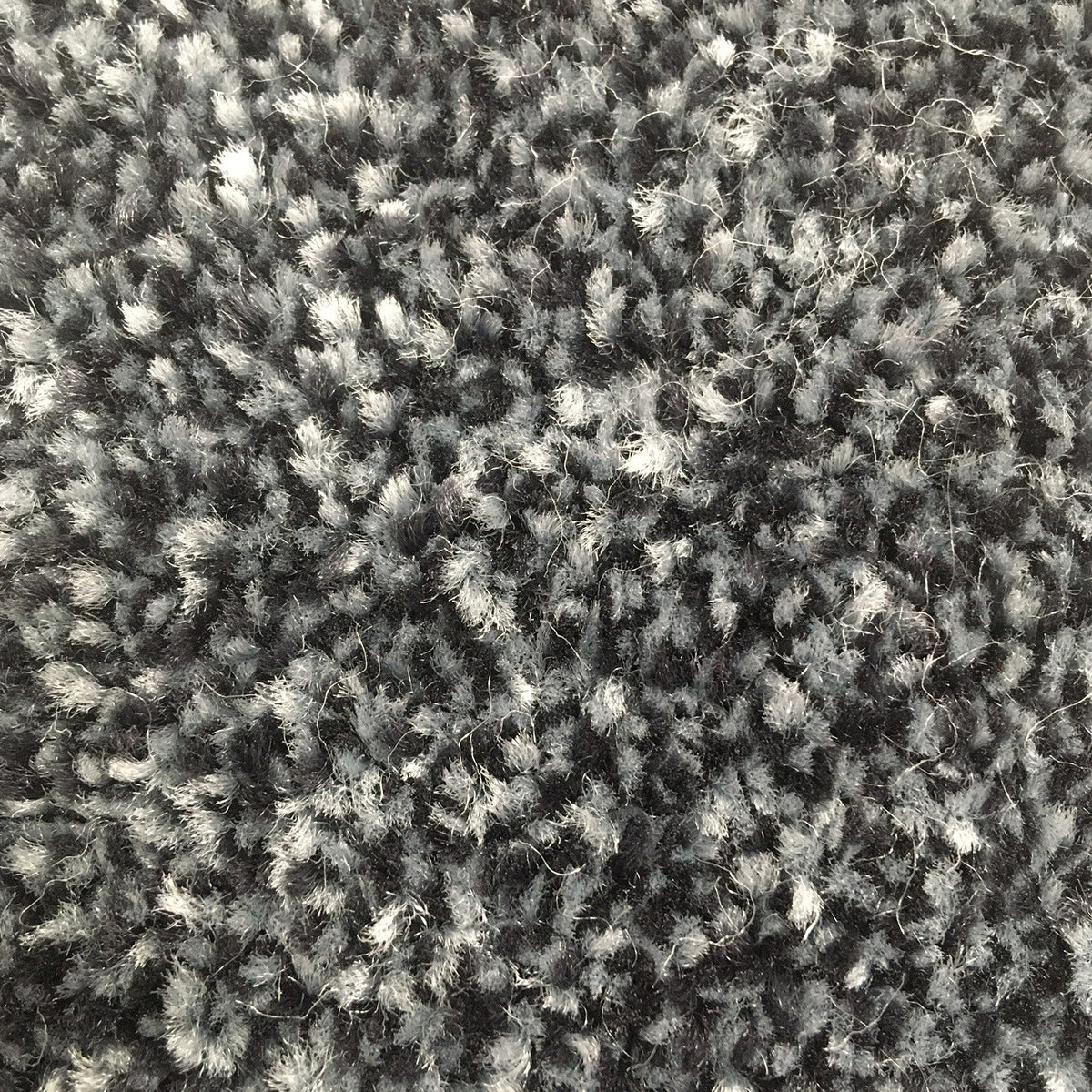 Cathedral Saxony Mercury 77 Carpet