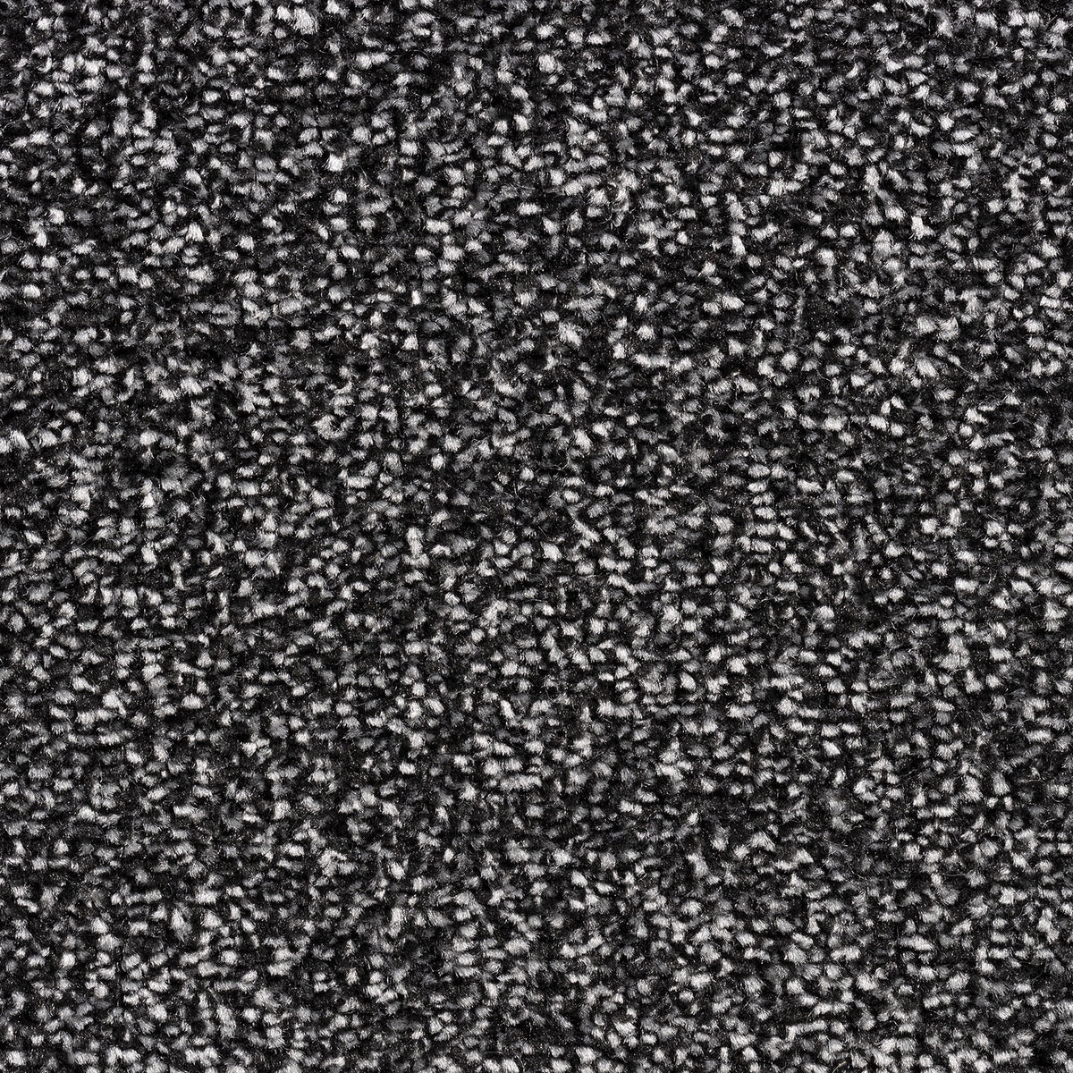 Astoria SB Graphite 78 Carpet