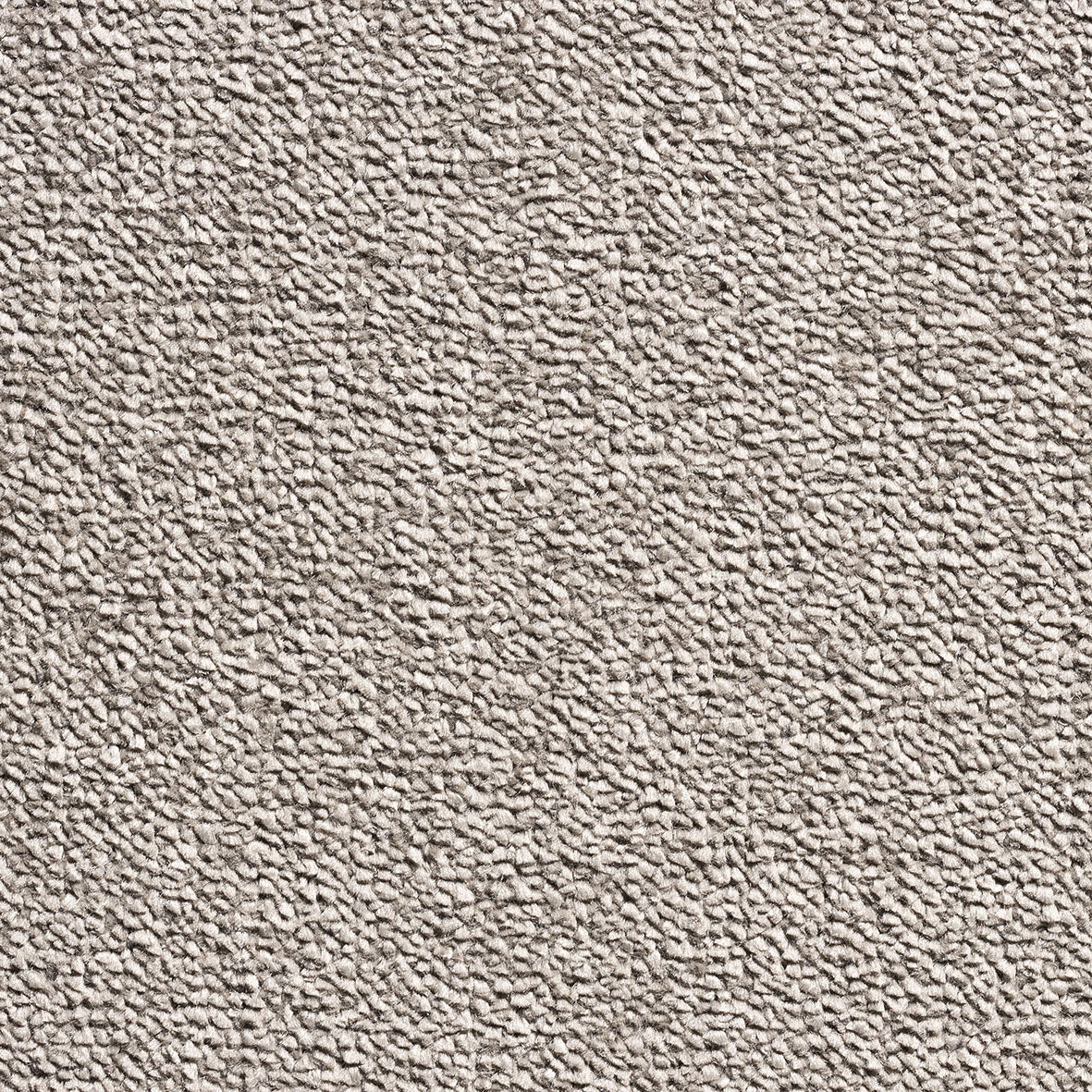 Verdi Latte 91 Carpet