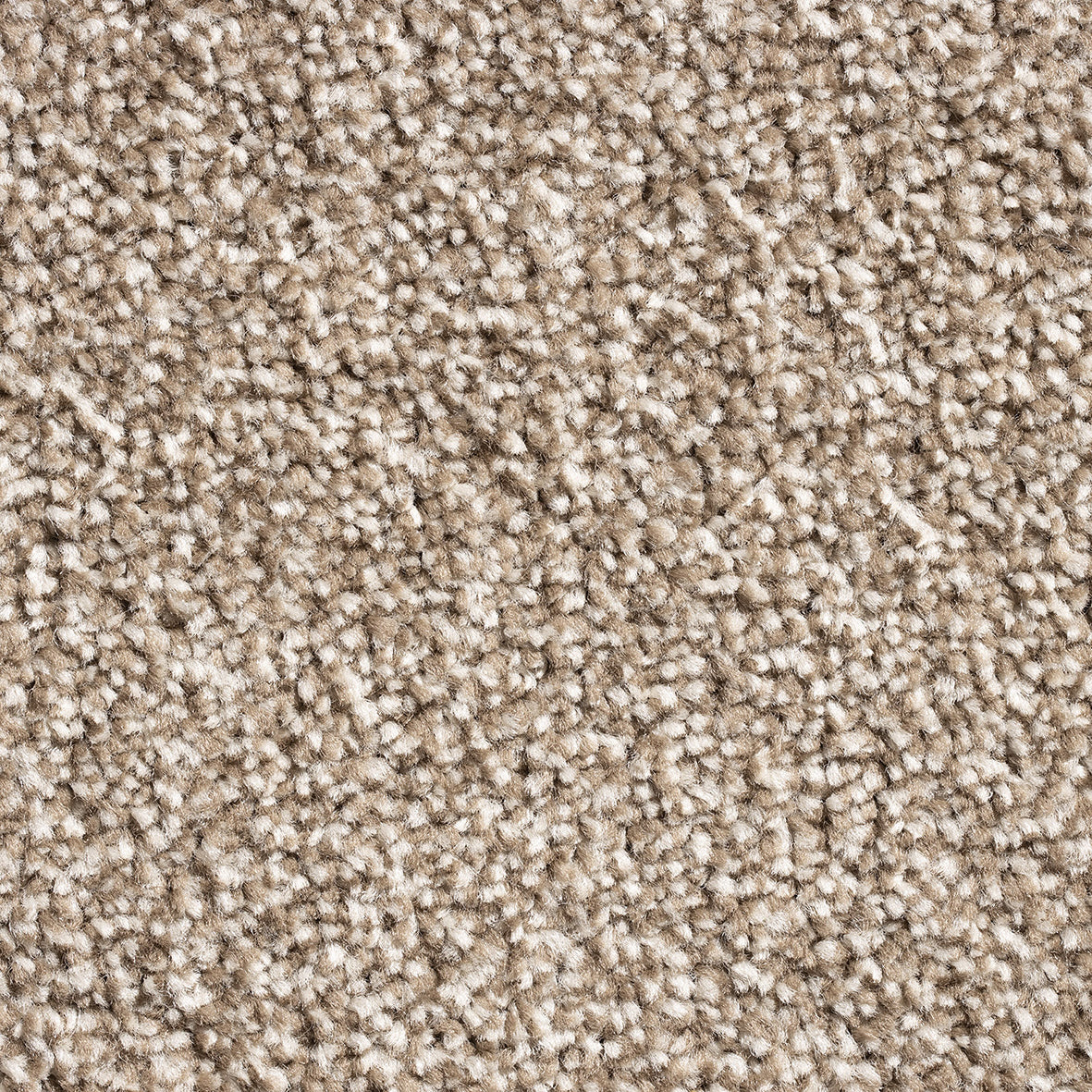 Vilamoura Warm Beige 90 Carpet
