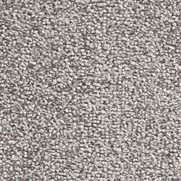 Sandown Fitzroy 210 Carpet