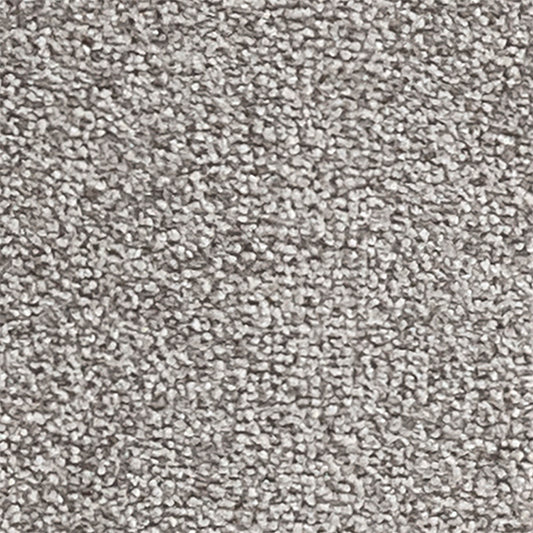 Sandown Fitzroy 210 Carpet