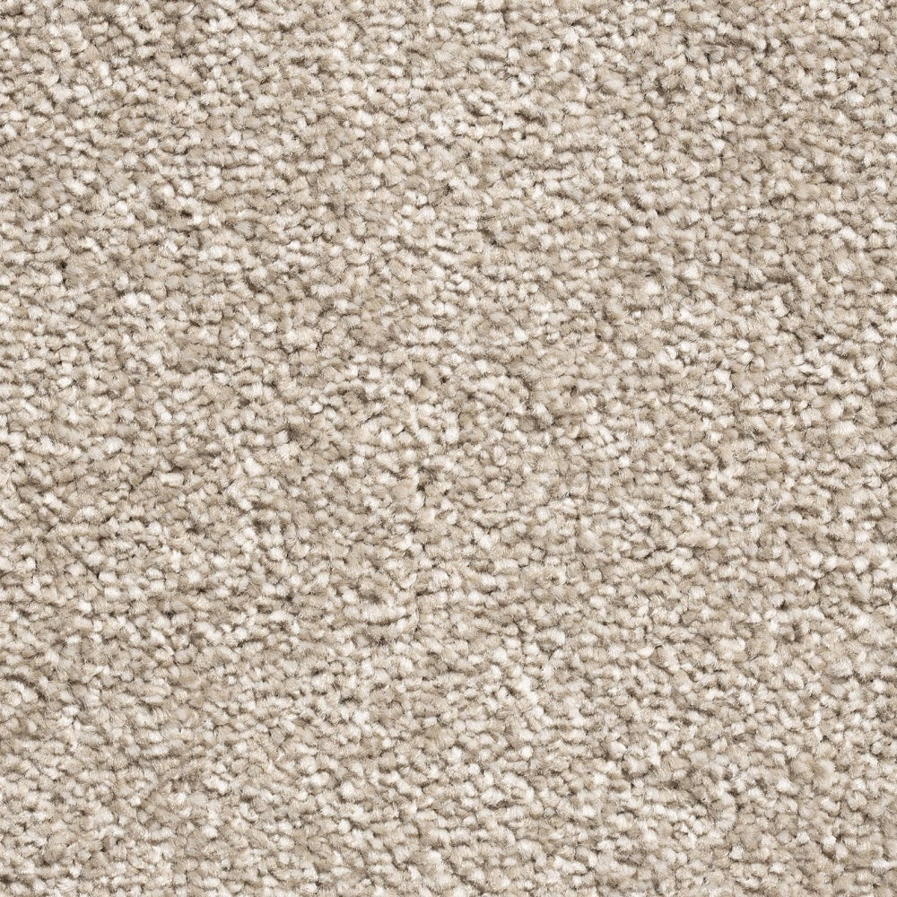Mayfair Classic 71 Carpet