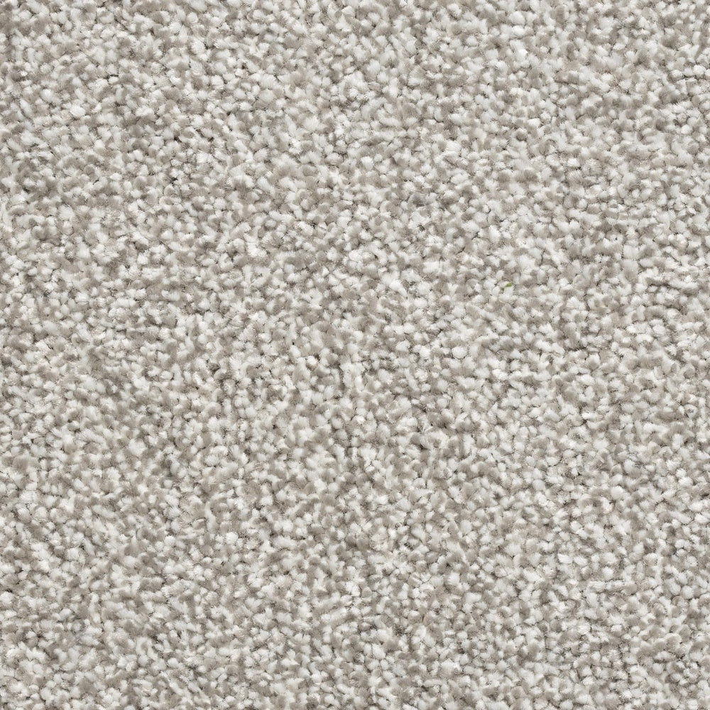 Mayfair Classic 274 Carpet
