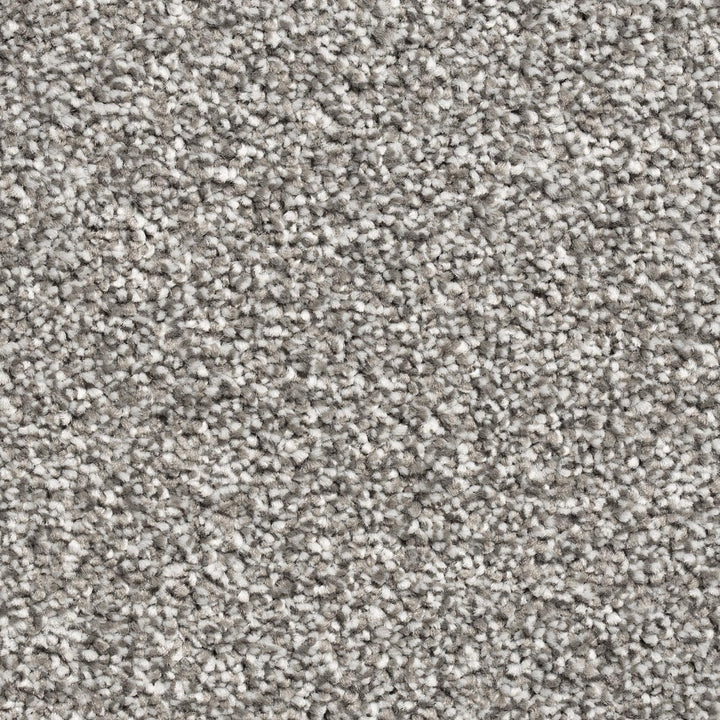Mayfair Classic 174 Carpet