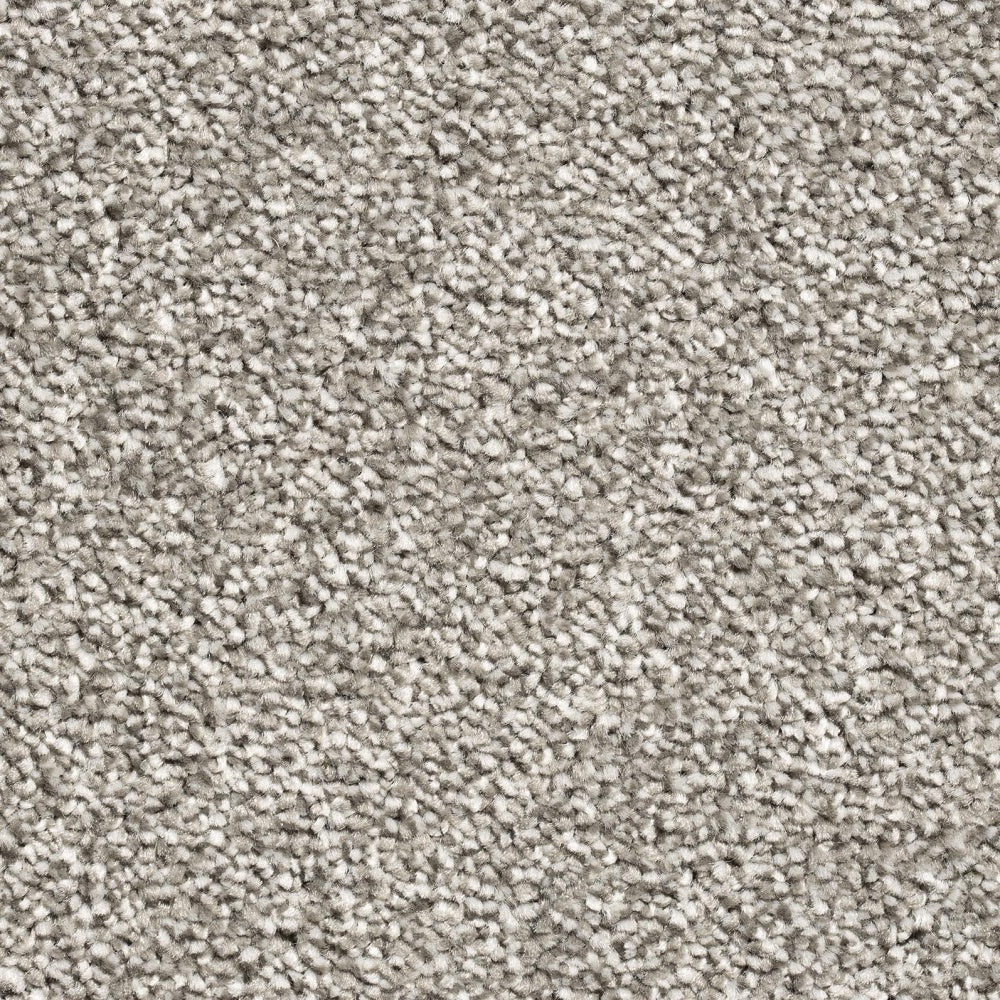 Mayfair Classic 276 Carpet