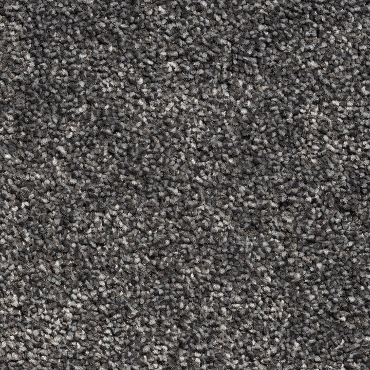 Mayfair Classic 76 Carpet