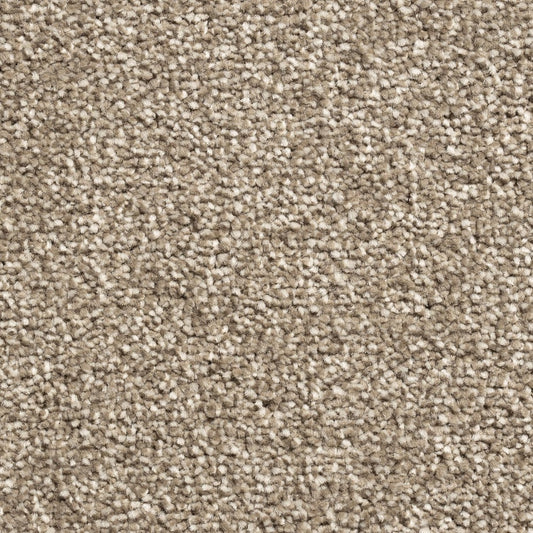 Mayfair Classic 372 Carpet