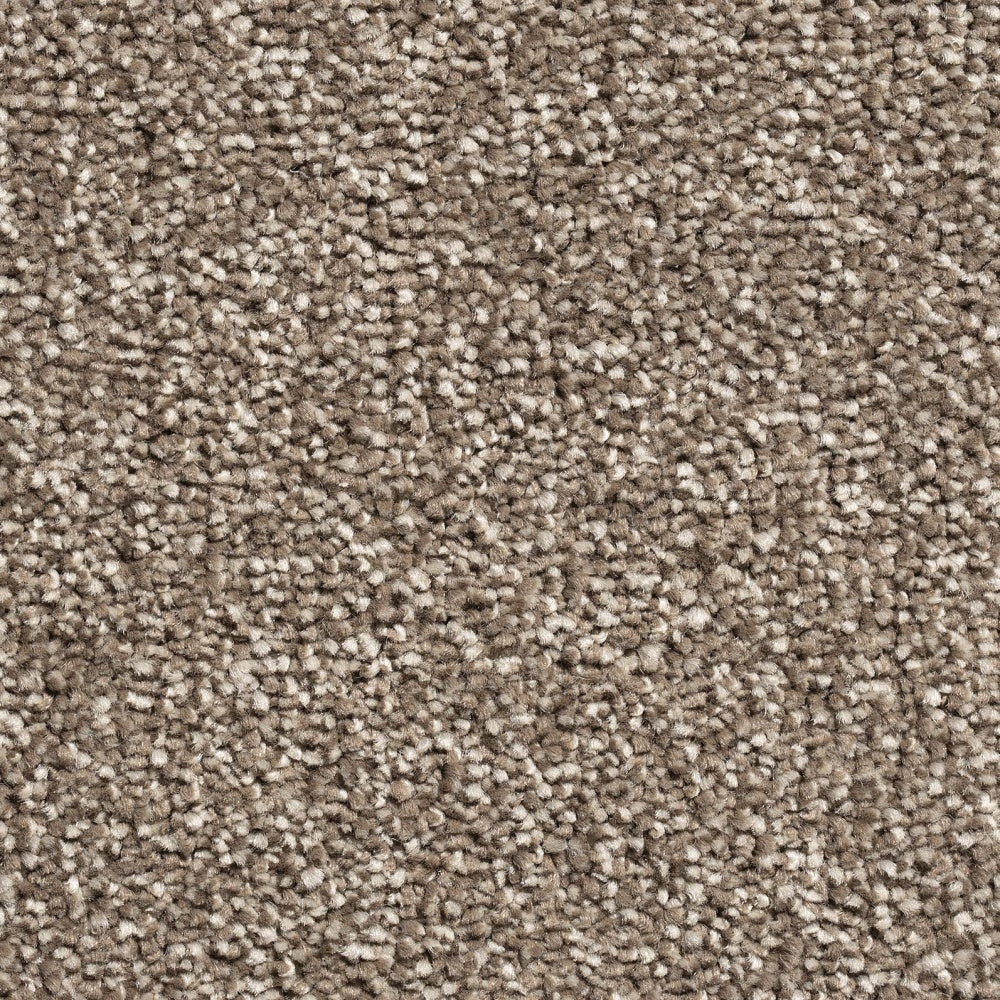 Tranquil Twist Quiet 0090 Carpet