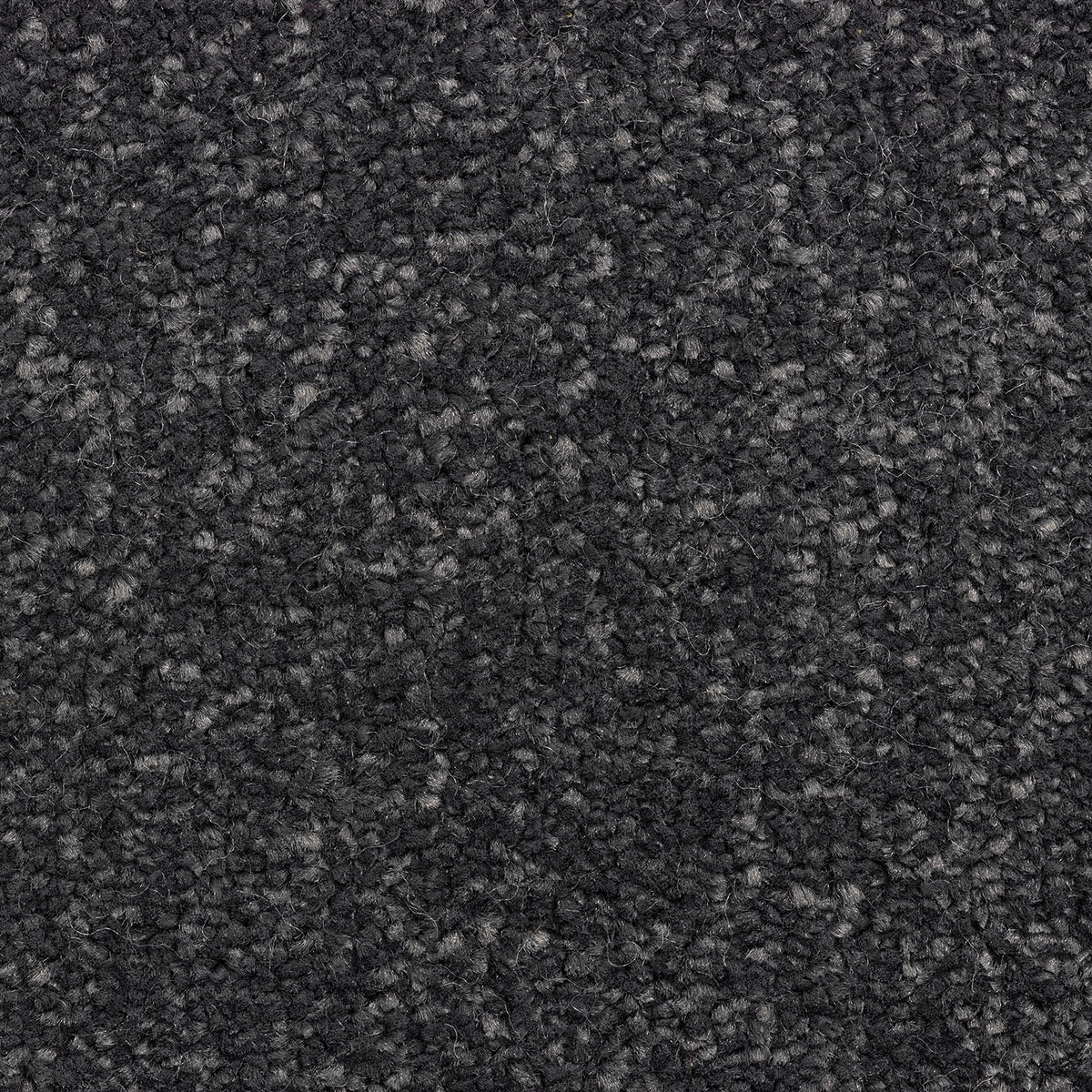 Zanzibar Classic Carbon 77 Carpet